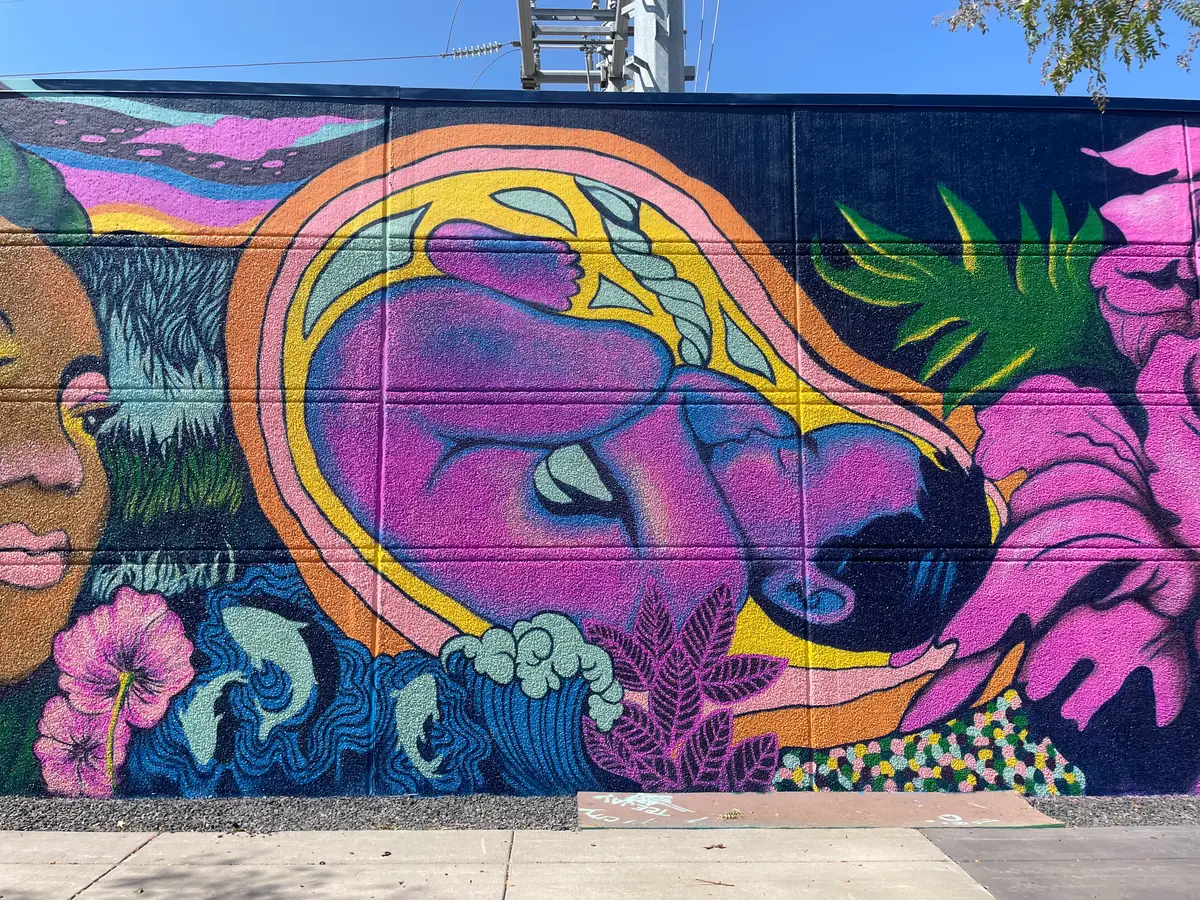 Section of the WE mural series surrounding an Xcel Energy substation in Bloomington, Minnesota.